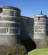 E-Billet 1 Visite CHÂTEAU D'ANGERS Tarif Unique