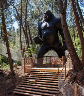 E-Billet Adulte à partir de 16 ans 1 Jour DINOPEDIA PARC CEVENNES