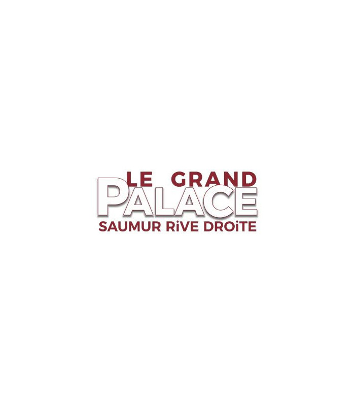 LE GRAND PALACE SAUMUR - E-Chèque Cinéma 1 séance standard normale jusqu'au 13/11/2026