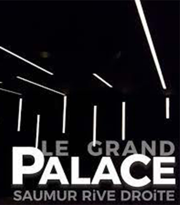 LE GRAND PALACE SAUMUR - E-Chèque Cinéma 1 séance standard normale jusqu'au 28/07/2026