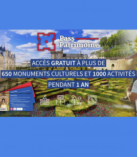 E-Pass Patrimoine Solo - Visites illimitées 1 an partenaires PATRIVIA