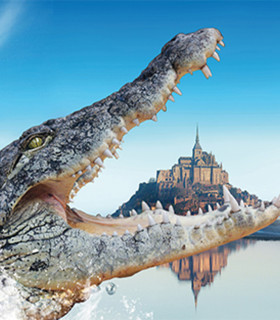 E-billet 1 Jour Adulte à partir de 13 ans ALLIGATOR BAY