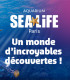 E-Billet 1 Jour Adulte à partir de 12 ans AQUARIUM SEA LIFE