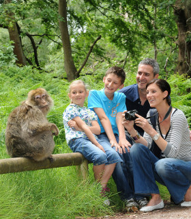 E-Billet 1 Jour Enfant de 5 à 14 ans LA MONTAGNE DES SINGES