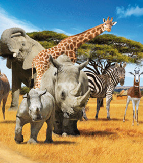 E-Billet 1 Jour Enfant DE 3 à 12 ans SAFARI DE PEAUGRES