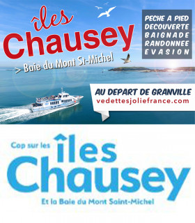 E-Billet Adulte +de15ans à imprimer 1 Aller/Retour Bateau ILES CHAUSEY