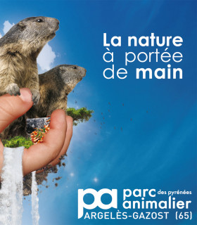 E-Billet 1 Jour Adulte à partir de 12 ans PARC ANIMALIER DES PYRENEES