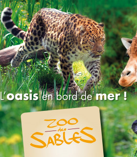 E-Billet 1 Jour Adulte à partir de 11 ans ZOO DES SABLES