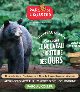 E-Billet PROMO 1 Jour Enfant de 3 à 12 ans PARC DE L'AUXOIS