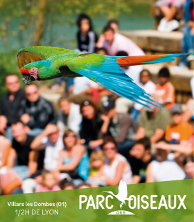 E-Billet 1 Jour Adulte à partir de 26 ans PARC DES OISEAUX