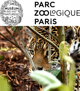 E-billet 1 Jour Adulte à partir de 13 ans PARC ZOOLOGIQUE DE PARIS