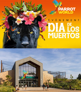 E-Billet 1 Jour Enfant de 3 à 11 ans inclus PARROT WORLD