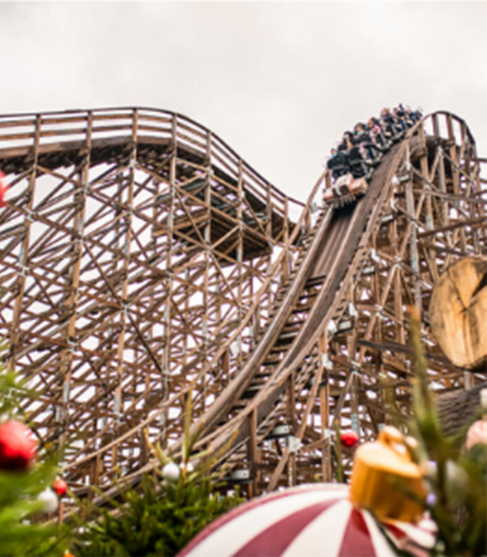 E-PASS SAISON 2026 WALIBI RHONE ALPES Tarif Unique Adulte OU Enfant