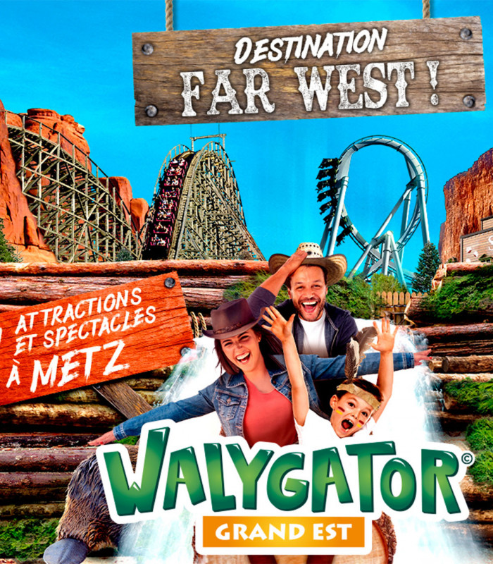 E-Billet 1 Jour Saison 2026 WALYGATOR GRAND-EST Tarif Unique