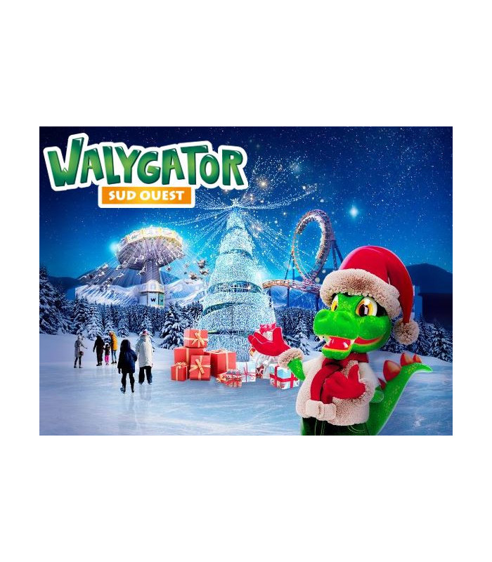 E-Billet 1 Jour 1 Parc Saison 2026 WALYGATOR SUD-OUEST Tarif Unique