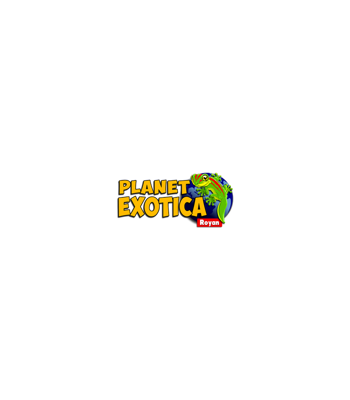 E-billet Enfant 3 à 12 ans inclus 1 Jour Haute Saison PLANET EXOTICA