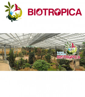 E-Billet 1 Jour Enfant de 3 à 11 ans BIOTROPICA