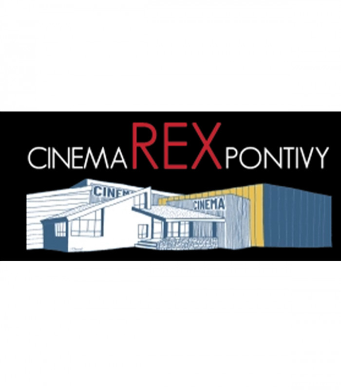 CINEMA REX PONTIVY - E-billet 1 séance standard normale jusqu'au 20/05/2027