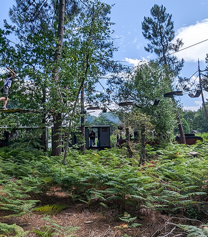 E-billet 1 Pass Découverte Adulte dès 8 ans au BAUD'RILLE