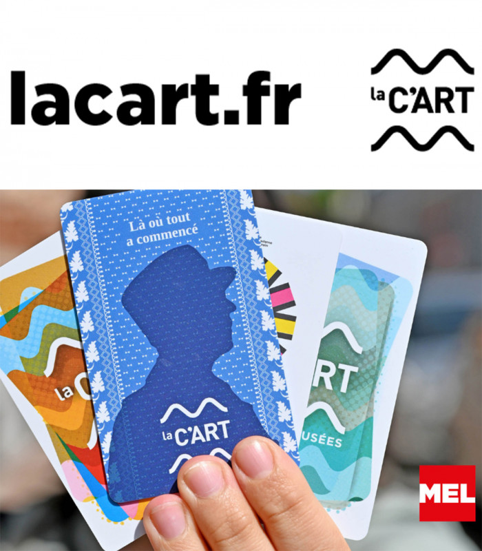 E-billet Pass 1 An Duo LA C'ART LILLE METROPOLE