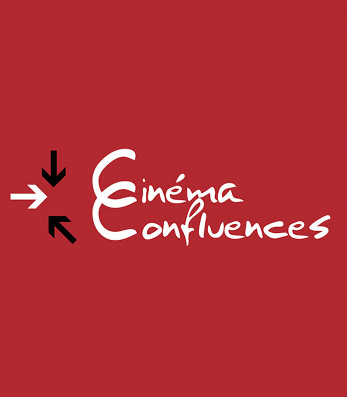 CINEMAS CONFLUENCES - E-Billet 1 séance standard normale valable jusqu'au 13/12/2026