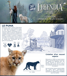 E-Billet Enfant 3 à 12 ans 1 Jour Vert 2026 LEGENDIA PARC