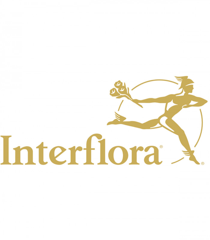 E-carte Cadeau Interflora