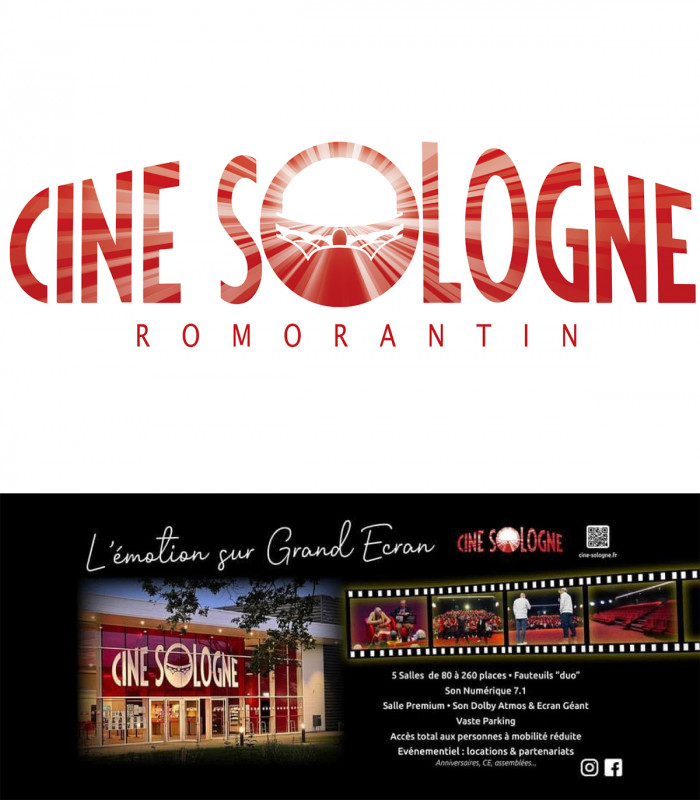 CINE SOLOGNE - E-billet 1 séance standard normale jusqu'au 24/01/2027