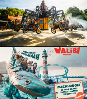 E-Billet 1 Jour Période 2026 WALIBI BELGIQUE Tarif Unique