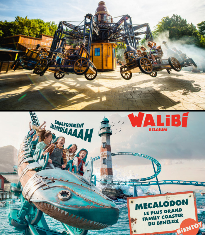 E-Billet 1 Jour Période 2026 WALIBI BELGIQUE Tarif Unique