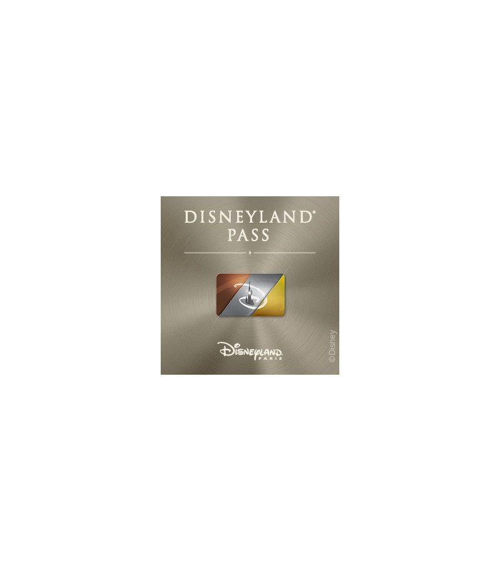 E-Pass Silver Enfant (300 jours d'accès/an) 2 Parcs DISNEYLAND PARIS