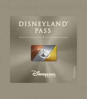 E-Pass Silver Enfant (300 jours d'accès/an) 2 Parcs DISNEYLAND PARIS