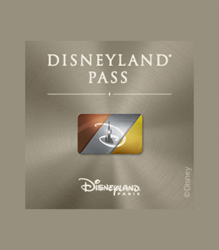 E-Pass Silver Enfant (300 jours d'accès/an) 2 Parcs DISNEYLAND PARIS