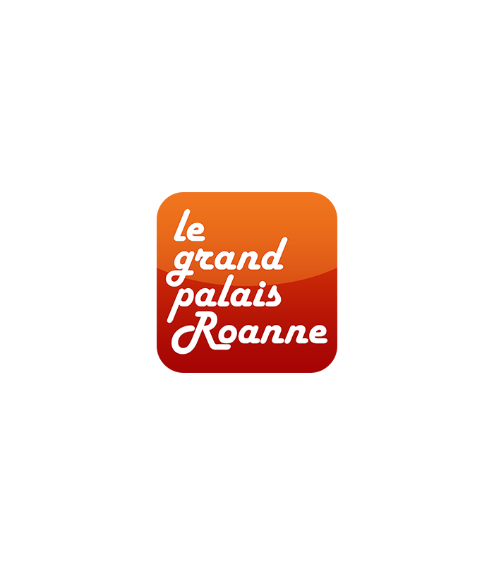 CINEMA LE GRAND PALAIS ROANNE - E-billet 1 séance standard normale jusqu'au 31/05/2027