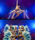 E-Bon d'achat 1 personne Déjeuner Imagine et Spectacle CIRQUE IMAGINE
