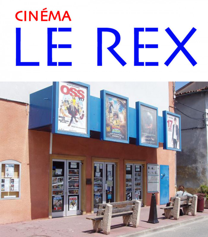 CINEMA REX PAMIERS - E-billet 1 séance standard normale jusqu'au 12/11/2027