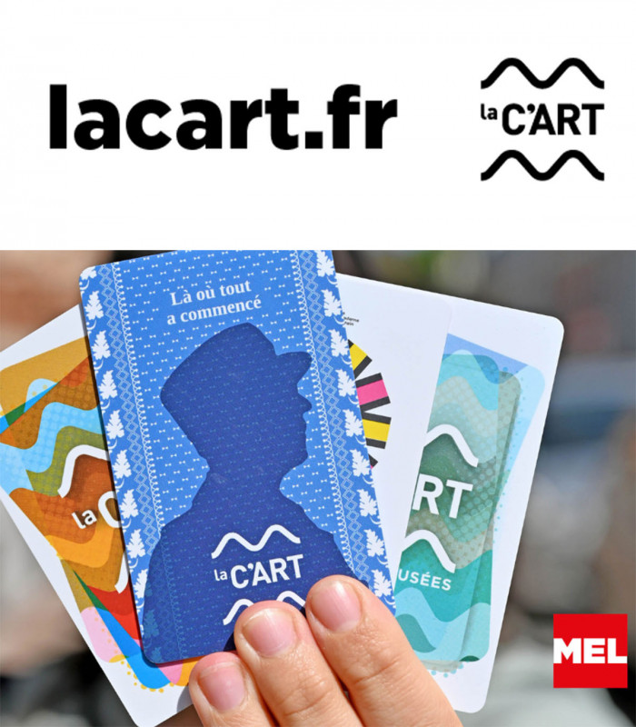 E-billet Pass 1 An Tribu (5 personnes max) LA C'ART LILLE METROPOLE