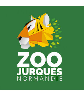 E-Billet Nocturne JUNGLE DE LUMIÈRES Enfant 3 à 11 ans ZOO DE JURQUES