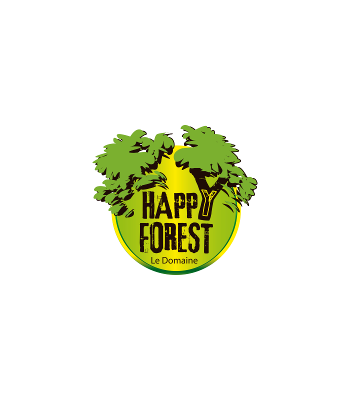 E-billet 1 Entrée Accrobranche enfant 8-12 ans HAPPY FOREST