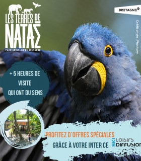 E-Billet 1 Jour Enfant Spécial Animaux de Lumière LES TERRES DE NATAÉ