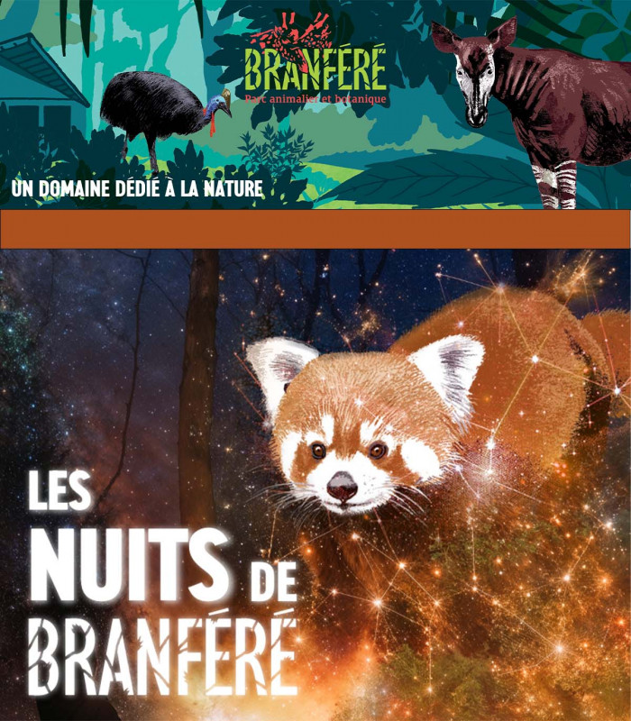 E-Billet 1 Jour+Nocturne Hiver Enfant 3-11 ans Parc Animalier Branféré