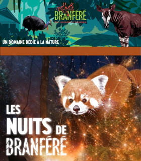 E-Billet 1 Jour + Nocturne Adulte dès 12 ans Parc Animalier Branféré