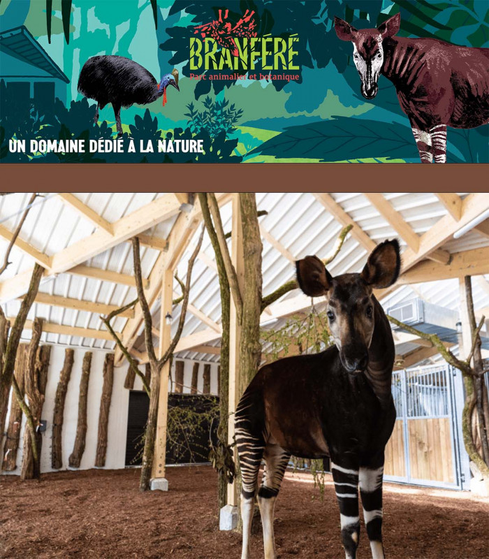 E-Billet 1Jour Hiver Adulte dès 12ans Parc AnimalierBotanique Branféré