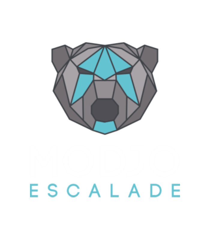 E-billet 1 Séance Libre d'Escalade à Modjo Escalade