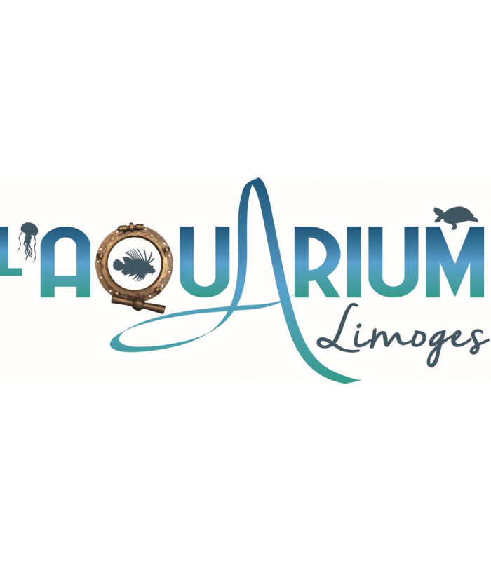 E-Billet 1 Jour Enfant de 3 à 12 ans AQUARIUM DE LIMOGES