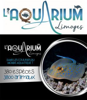 E-Billet 1 Jour Enfant de 3 à 12 ans AQUARIUM DE LIMOGES