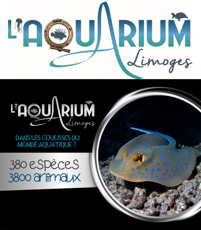 E-Billet 1 Jour Adulte dès 13 ans AQUARIUM DE LIMOGES