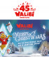 E-BILLET 1 Jour Noël 2025 WALIBI RHONE ALPES Tarif Unique