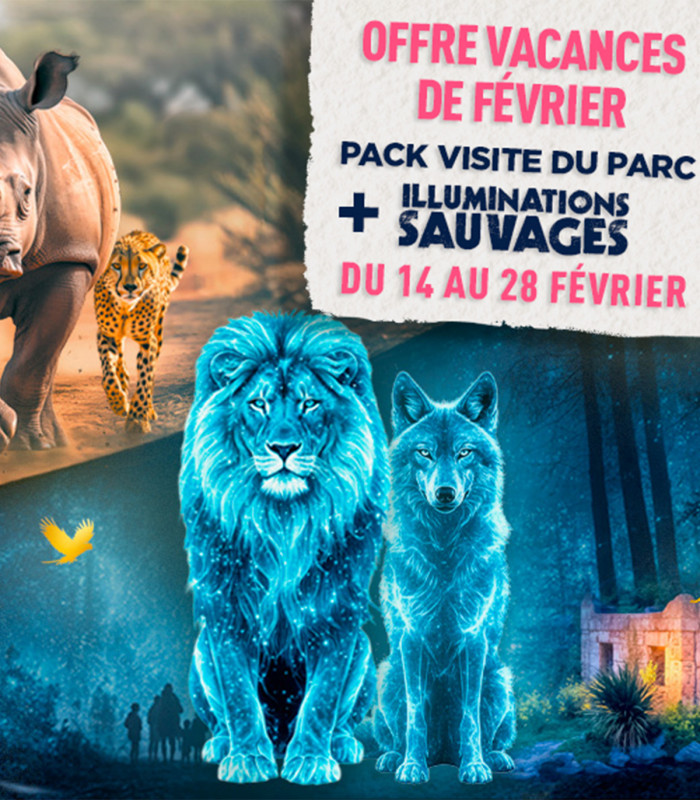 E-Contremarque Enfant 3-12 ans -Illuminations Sauvages PLANETE SAUVAGE