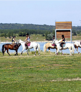 ECOLE D'EQUITATION ET SEANCES BABY PONEY ILE DE LOISIRS VAIRES TORCY